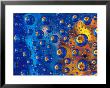 Dew Drops Reflecting An Orange Profusion Zinnia With A Blue Backdrop, Sammamish Washington by Darrell Gulin Limited Edition Pricing Art Print
