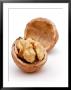 Juglans (Californian Walnut), Close-Up Of Single Open Nut by Susie Mccaffrey Limited Edition Pricing Art Print