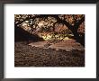 Secret Beach, Puerta Vallarta, Mexico by Walter Bibikow Limited Edition Print