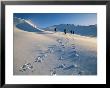 Hiking Across The Snow-Swept Volcanic Landscape Of Iceland Near Glymsgil by Bill Hatcher Limited Edition Pricing Art Print