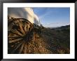 Covered Wagon At Bar 10 Ranch Near Grand Canyon by Todd Gipstein Limited Edition Print
