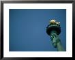 A Close View Of The Torch Held By The Statue Of Liberty by Joel Sartore Limited Edition Print