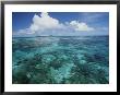 Shallow Blue Water Stretches To The Horizon by Michael Melford Limited Edition Print