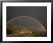 A Rainbow Arches Over The Alaska Highway In British Columbia, Canada by Raymond Gehman Limited Edition Print