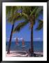 Man Sitting On Beach, Sheraton, Fiji by Mick Roessler Limited Edition Print