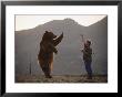 A Trained Grizzly Bear Stands For A Jelly Treat by Joel Sartore Limited Edition Print