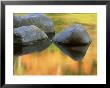 Rock And Autumn Reflections, White Mountains, New Hamshire by Mark Hamblin Limited Edition Pricing Art Print