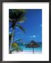 Picturesque Tropical Beach by Jeff Greenberg Limited Edition Print