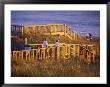 Npeople Along Outer Banks, North Carolina by Manrico Mirabelli Limited Edition Print