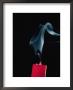 Red Candle With Smoke Curling Up From The Wick After Being Blown Out by Brian Gordon Green Limited Edition Print