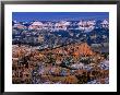 Winter Time In Bryce Canyon National Park, Bryce Canyon National Park, Utah, Usa by Carol Polich Limited Edition Print