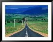 Road To Mt. Buller In The Victorian Alps, Victoria, Australia by John Banagan Limited Edition Print