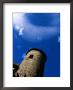 Castle Sternberk Tower, Sternberk, Czech Republic by Richard Nebesky Limited Edition Print