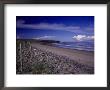 Atlantic Beach, County Sligo, Ireland by Dave Bartruff Limited Edition Print