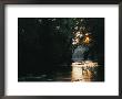 A Couple Fish On A River In The Low Sunlight by Skip Brown Limited Edition Print
