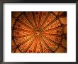 Ceiling Rose In Westminster Abbey London, England by Glenn Beanland Limited Edition Print
