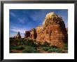 Chessler Park, Needles Area, Canyonlands National Park, Canyonlands National Park, Utah, Usa by Carol Polich Limited Edition Print