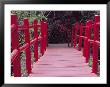 Red Bridge, Magnolia Plantation And Gardens, Charleston, South Carolina, Usa by Julie Eggers Limited Edition Print