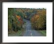 Fall Foliage Lines The Road, Northern Forest, Maine, Usa by Jerry & Marcy Monkman Limited Edition Print