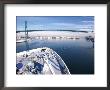 Port Of Los Angles, Harbor, Cruise Ship Landing, California, Usa by Terry Eggers Limited Edition Print