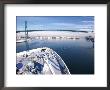 Port Of Los Angles, Harbor, Cruise Ship Landing, California, Usa by Terry Eggers Limited Edition Pricing Art Print