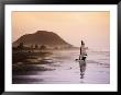 Blocart (Land Yacht) Cruising On Beach, Mt. Maunganui, New Zealand by Anders Blomqvist Limited Edition Print
