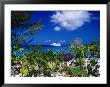 Seabourn Pride Cruise Ship Offshore, Bahamas by Wayne Walton Limited Edition Pricing Art Print