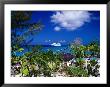 Seabourn Pride Cruise Ship Offshore, Bahamas by Wayne Walton Limited Edition Print