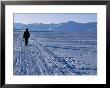 Local Walking Through Arctic Landscape Carrying Gun For Protection., Svalbard by Christian Aslund Limited Edition Print