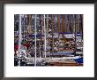 Charter Boats In Marina, Bodrum, Turkey by Peter Ptschelinzew Limited Edition Print