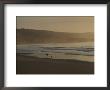 Distant View Of A Person And Dog Strolling On The Beach by Sam Abell Limited Edition Print