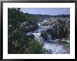 A Scenic View Of The 200-Foot Section Of Rapids And Cascades Located On The Potomac River by O. Louis Mazzatenta Limited Edition Print