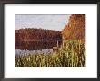 Fall View Of The Lake In Black Hills Regional Park by Brian Gordon Green Limited Edition Pricing Art Print