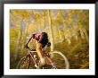 A Mountain Biker In Autumn by Dugald Bremner Limited Edition Print