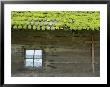 Wooden St. Nicholas Church, Kolodnoe, Zakarpattia Oblast, Transcarpathia, Ukraine by Ivan Vdovin Limited Edition Print