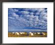 Yurts, Mongolia by Peter Adams Limited Edition Print