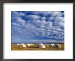 Yurts, Mongolia by Peter Adams Limited Edition Print
