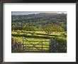 Sheepstor, Dartmoor, Devon, England by Peter Adams Limited Edition Print