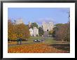 The Long Walk, Windsor Castle, Berkshire, England by Alan Copson Limited Edition Print
