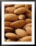 Almond (Prunus Dulcis), Close-Up Of Nuts by Susie Mccaffrey Limited Edition Print