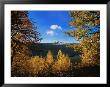 Autumn, Heaven's Peak, Utah by Peter Walton Limited Edition Pricing Art Print
