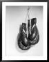 Boxing Gloves Hanging On The Wall by Ewing Galloway Limited Edition Print