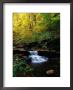 Waterfalls, Ricketts Glen State Park, Pa by Jim Schwabel Limited Edition Print