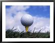 Golf Ball On Tee by Fogstock Llc Limited Edition Print