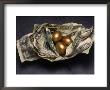 Golden Eggs Wrapped In Us Currency by Paul Katz Limited Edition Pricing Art Print
