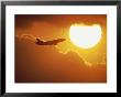 Airplane Ascending Before The Sun by Jay Vergenz Limited Edition Print