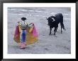 Bullfight, Aguascalientes, Mexico by Jeff Greenberg Limited Edition Print