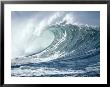 Ocean Wave by Brian Bielmann Limited Edition Print