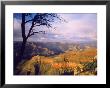 South Rim Of The Grand Canyon, Az by Jim Corwin Limited Edition Print