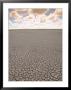 Parched Earth, Etosha National Park, Namibia by Walter Bibikow Limited Edition Print